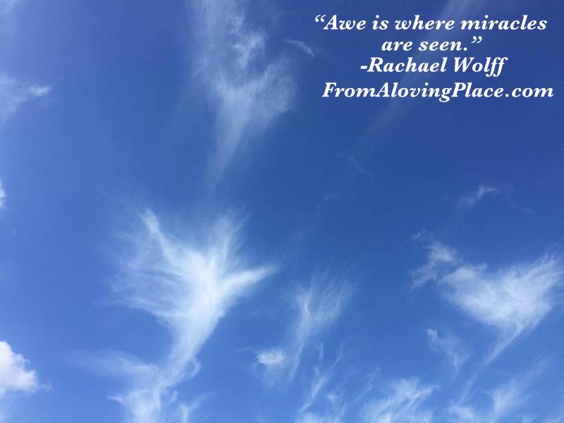 12687901_633186636822768_1134638839581554708_n