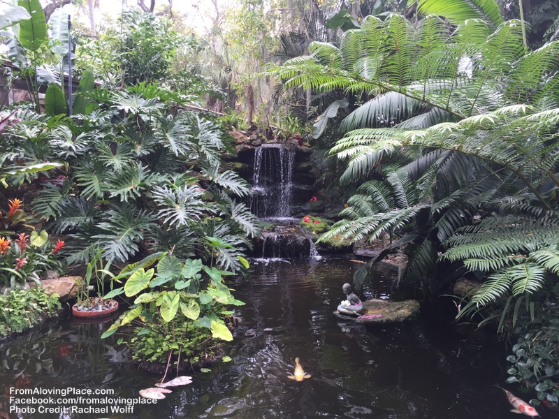 A Better Life Begins With&nbsp;Gratitude