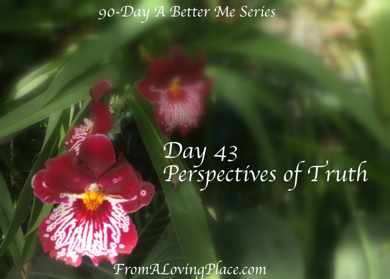 90-Day A Better Me Series: Day 43 – Perspectives of&nbsp;Truth