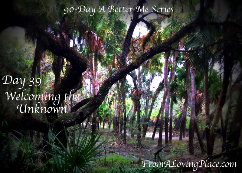 90-Day A Better Me Series: Day 39 – Welcoming the&nbsp;Unknown