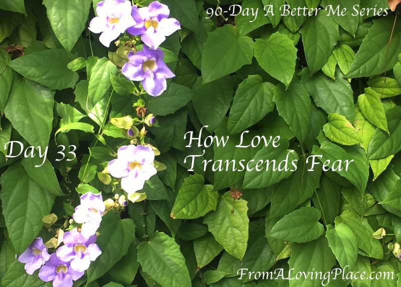90-Day A Better Me Series: Day 33 – How Love Transcends&nbsp;Fear