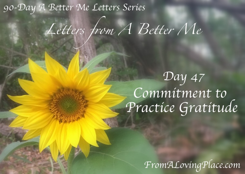 90-Day A Better Me Letters Series: Day 47 – Commitment to Practice&nbsp;Gratitude