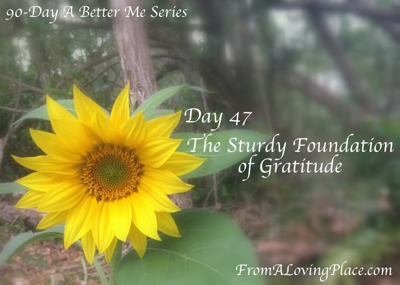 90-Day A Better Me Series: Day 47 – The Sturdy Foundation of&nbsp;Gratitude