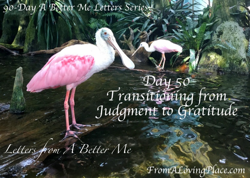 90-Day A Better Me Letters Series: Day 50 – Transitioning from Judgment to&nbsp;Gratitude