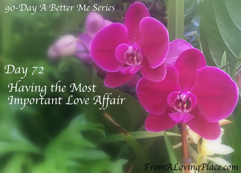 90-Day A Better Me Series: Day 72 – Having the Most Important Love&nbsp;Affair