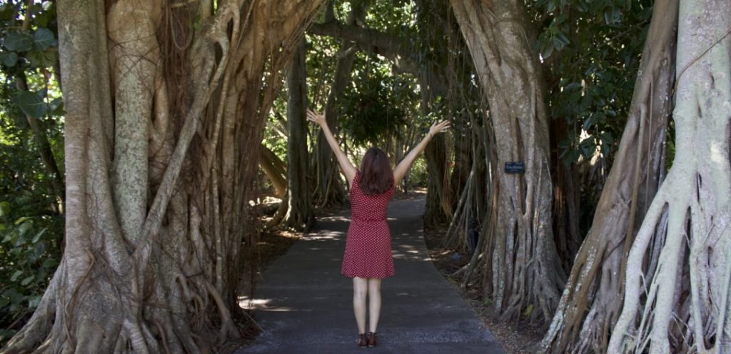 The Box: A Writer’s&nbsp;Dream