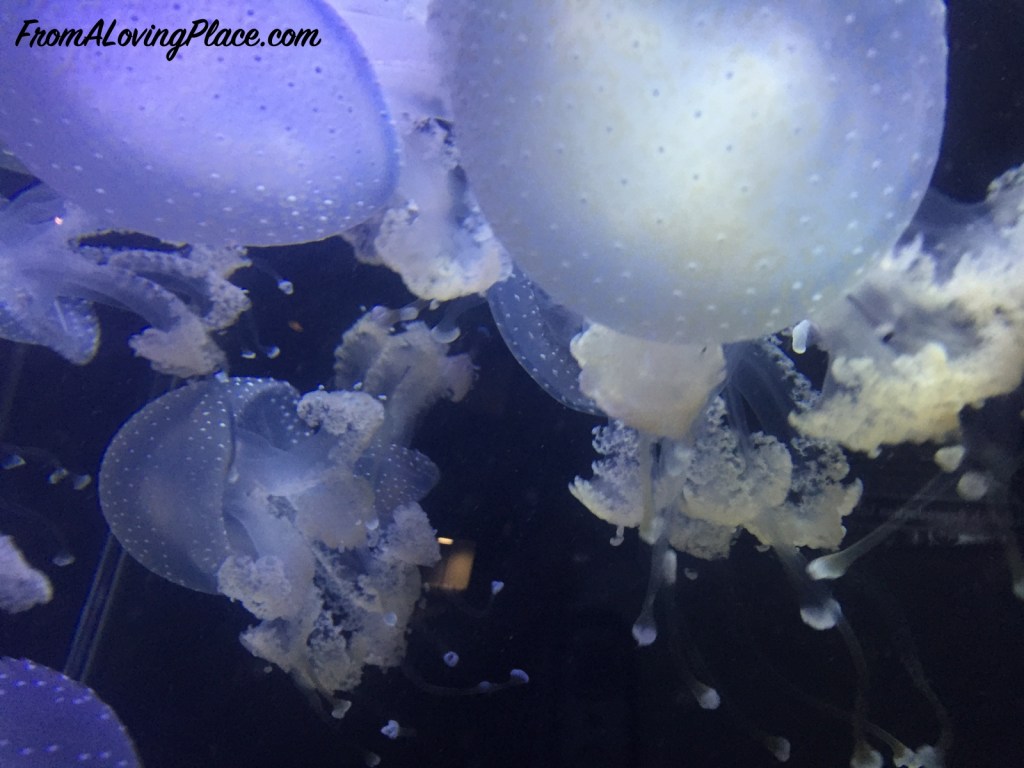 Differences between Taking Responsibility and&nbsp;Blaming