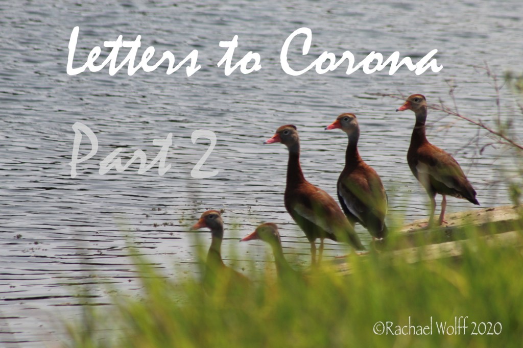 Letters to Corona: Part&nbsp;2