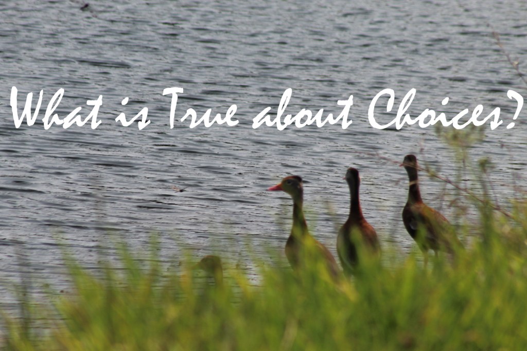 What is True about Choices?