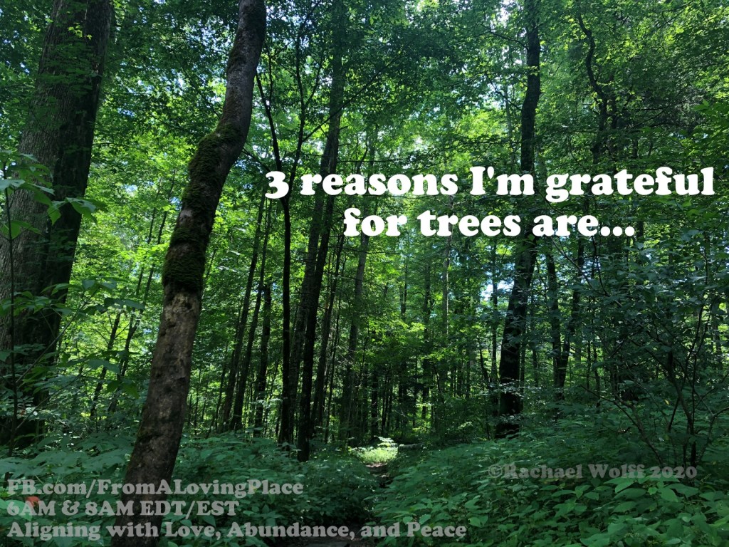 Daily Aligning with Love, Abundance, and Peace&nbsp;#13