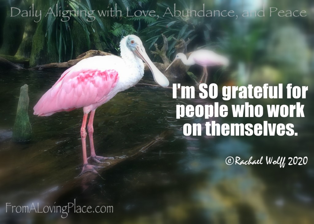 Daily Aligning with Love, abundance, and Peace&nbsp;#62