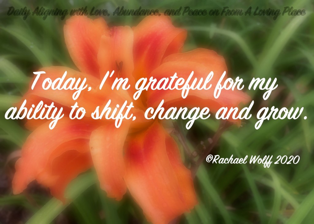 Daily Aligning with Love, Abundance, and Peace&nbsp;#40