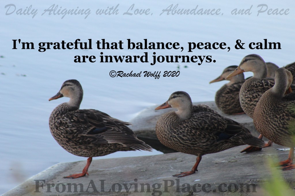 Daily Aligning with Love, Abundance, and Peace&nbsp;#77