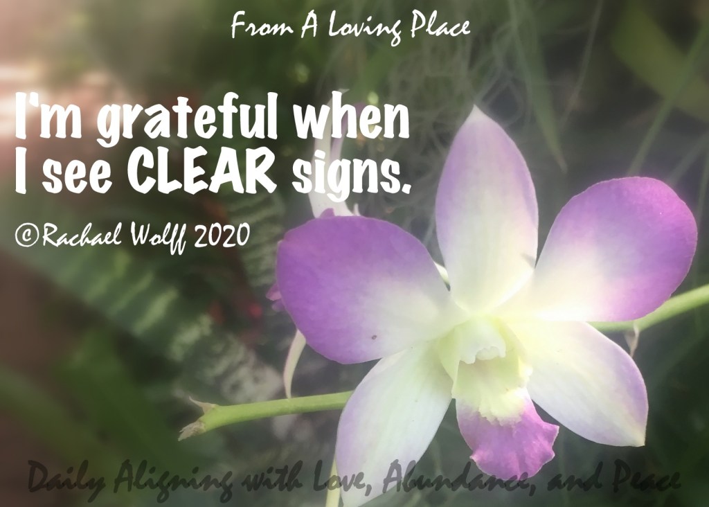 Daily Aligning with Love, Abundance, and Peace&nbsp;#78