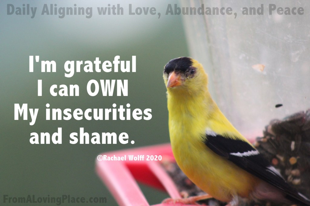 Daily Aligning with Love, Abundance, and Peace&nbsp;#80