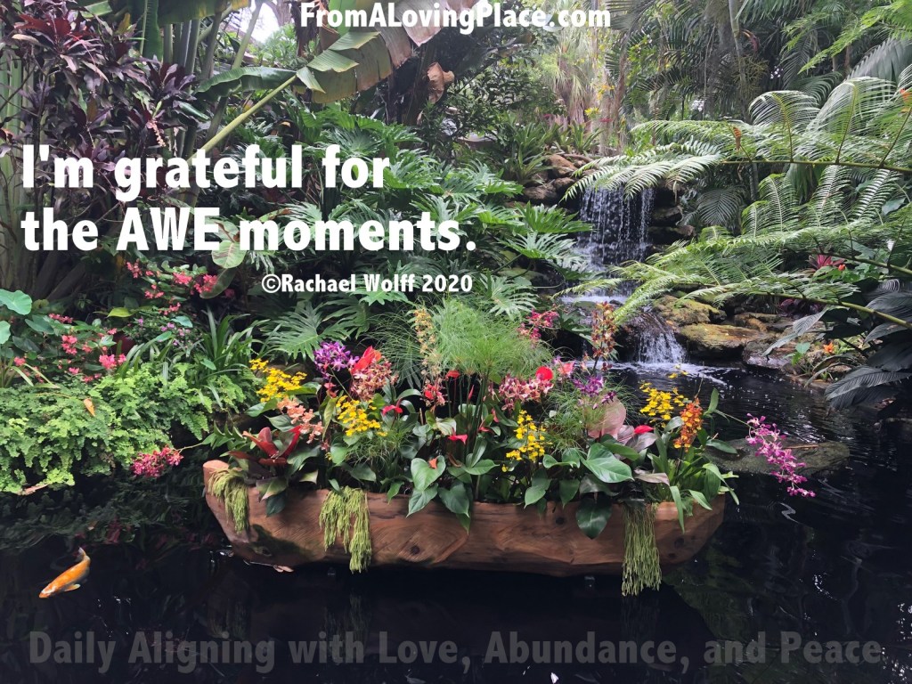 Daily Aligning with Love, Abundance, and Peace&nbsp;#83