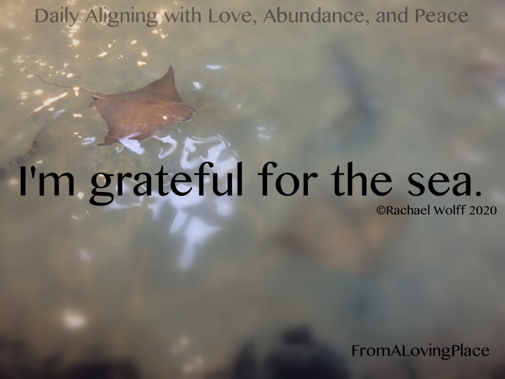 Daily Aligning with Love, Abundance, and Peace #67