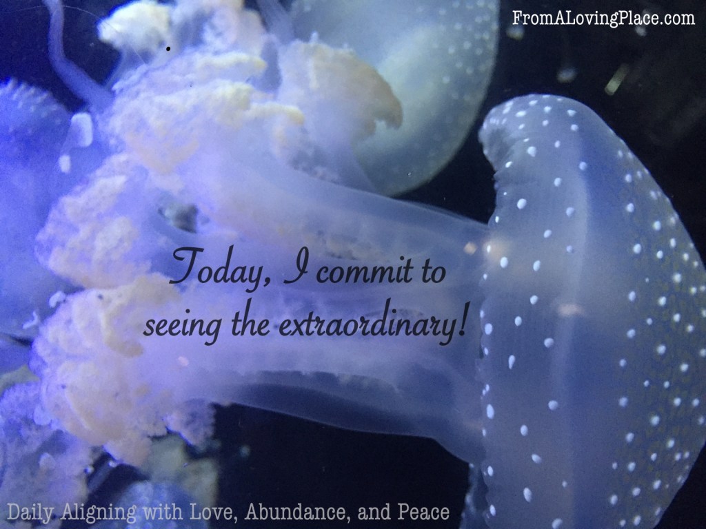 Daily Aligning with Love, Abundance, and Peace&nbsp;#70