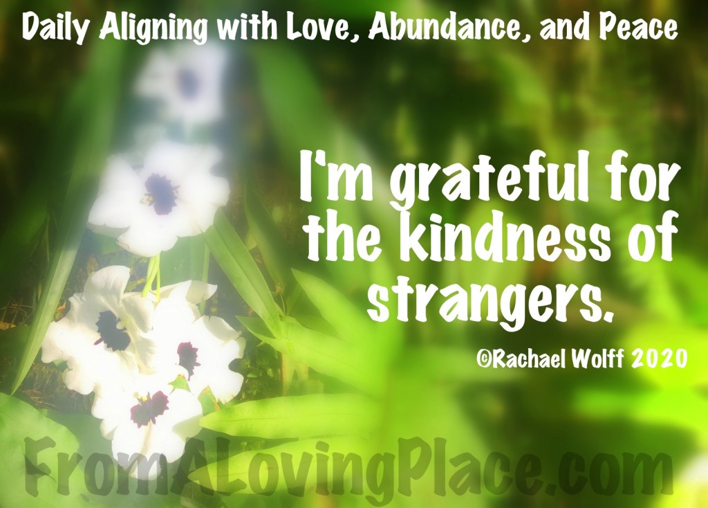 Daily Aligning with Love, Abundance, and Peace&nbsp;#117