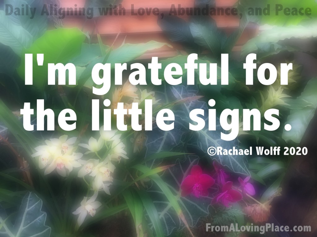 Daily Aligning with Love, Abundance, and Peace&nbsp;#112