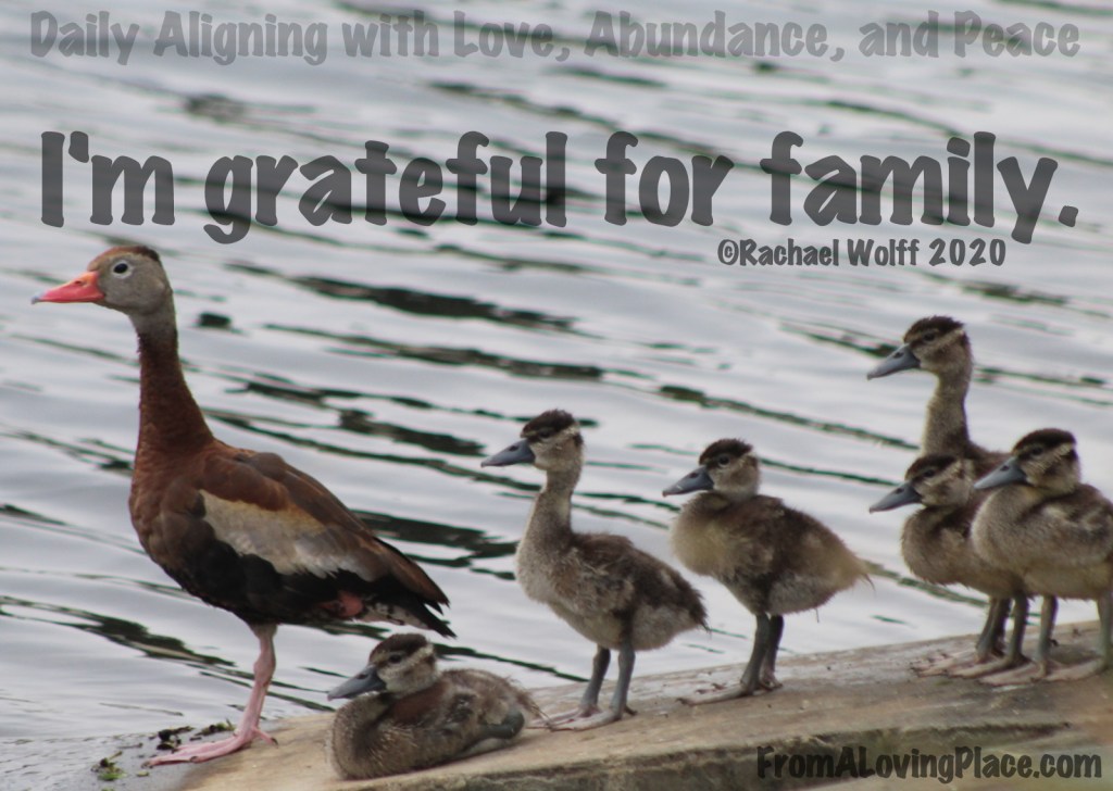 Daily Aligning with Love, Abundance, and Peace&nbsp;#118