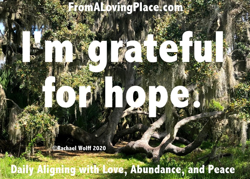 Daily Aligning with Love, Abundance, and Peace&nbsp;#111