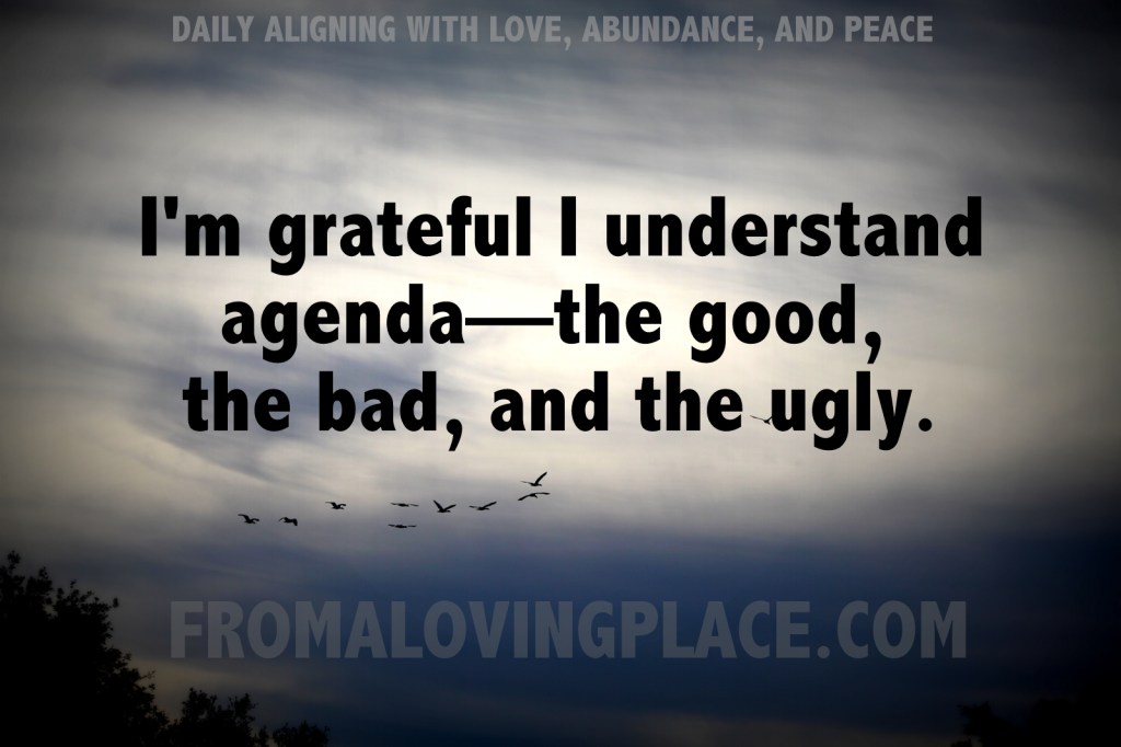 Daily Aligning with Love, Abundance, and Peace&nbsp;#169