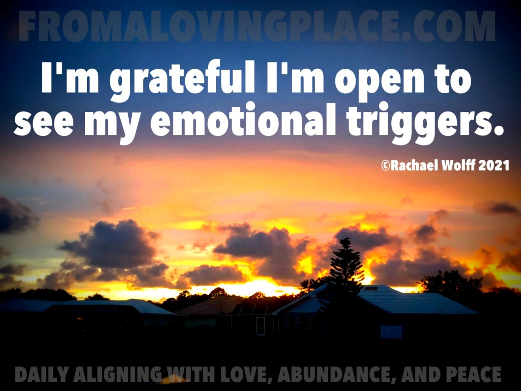 Daily Aligning with Love, Abundance, and Peace&nbsp;#213