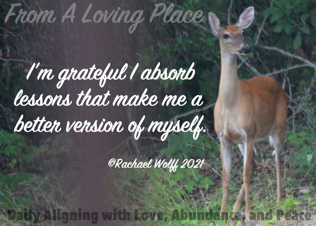 Daily Aligning with Love, Abundance, and Peace&nbsp;#226