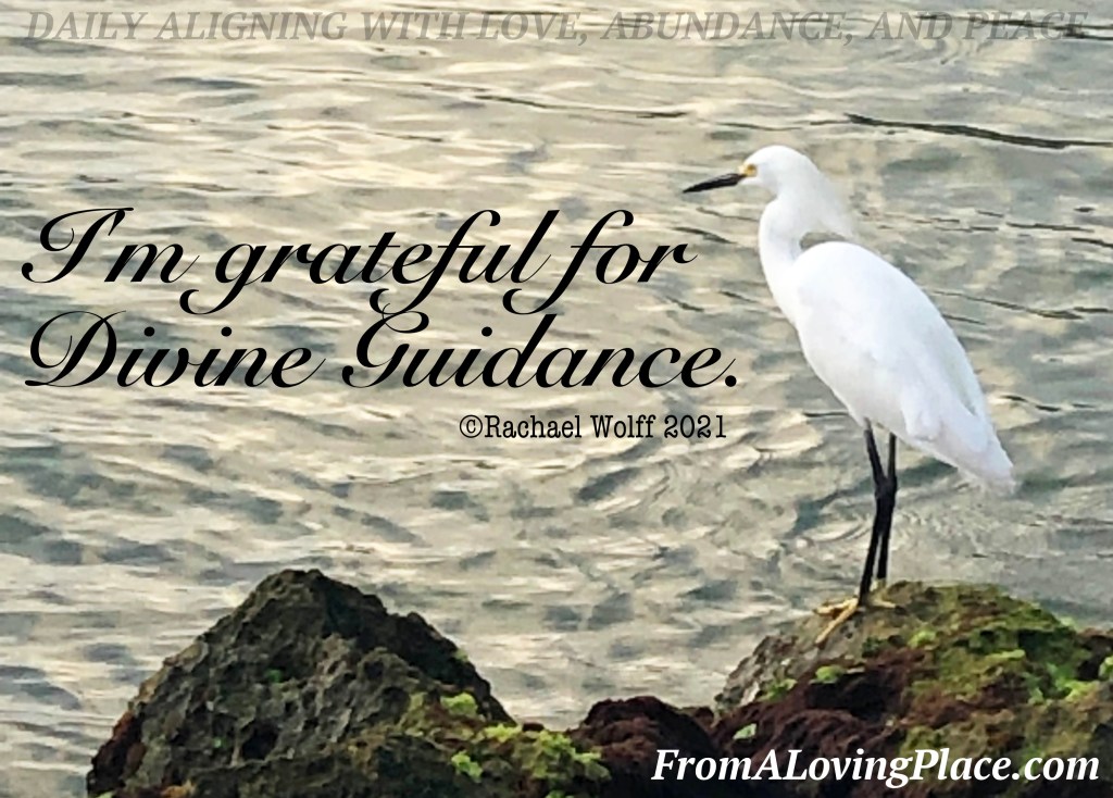 Daily Aligning with Love, Abundance, and Peace&nbsp;#242