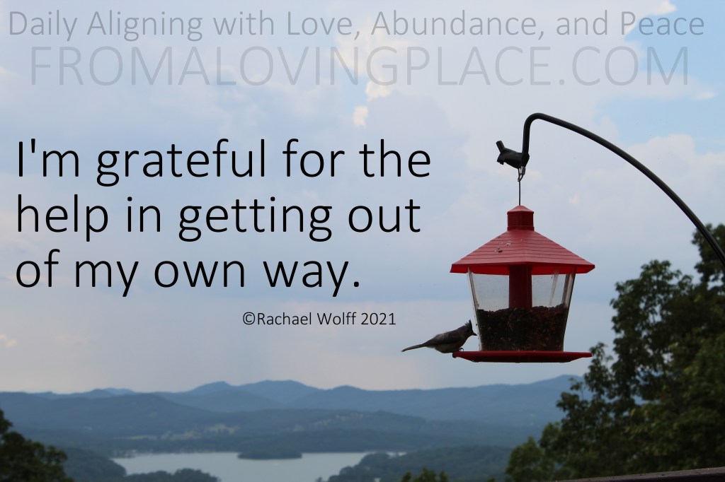 Daily Aligning with Love, Abundance, and Peace&nbsp;#252