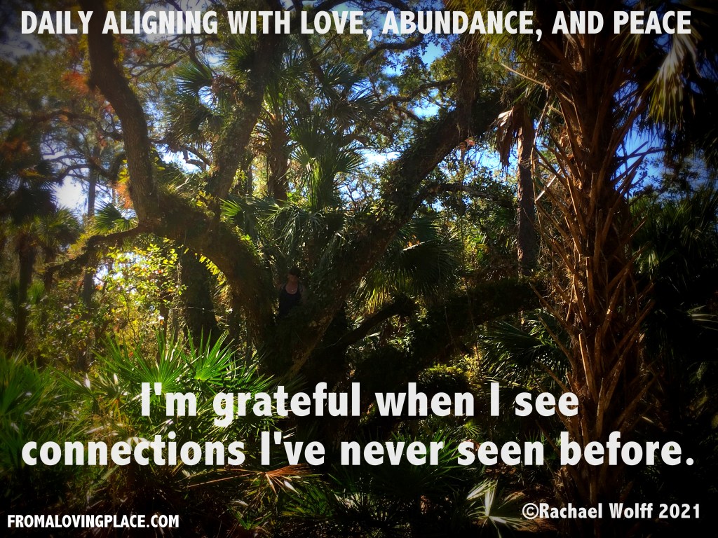 Daily Aligning with Love, Abundance, and Peace&nbsp;#271