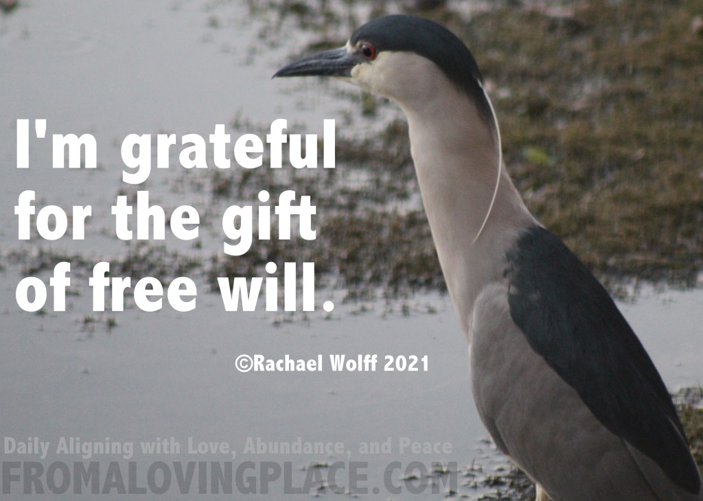 Daily Aligning with Love, Abundance, and Peace&nbsp;#257