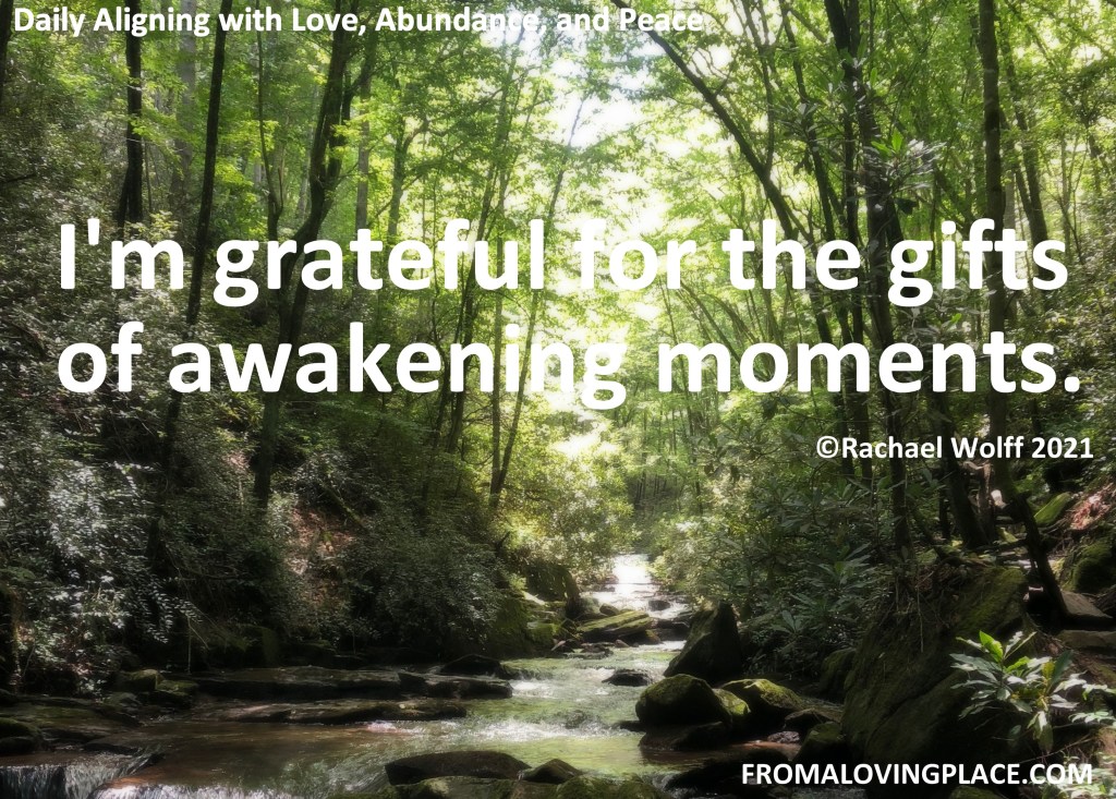 Daily Aligning with Love, Abundance, and Peace&nbsp;#259