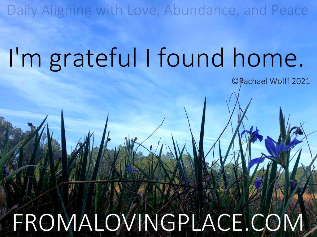 Daily Aligning with Love, Abundance, and Peace&nbsp;#255