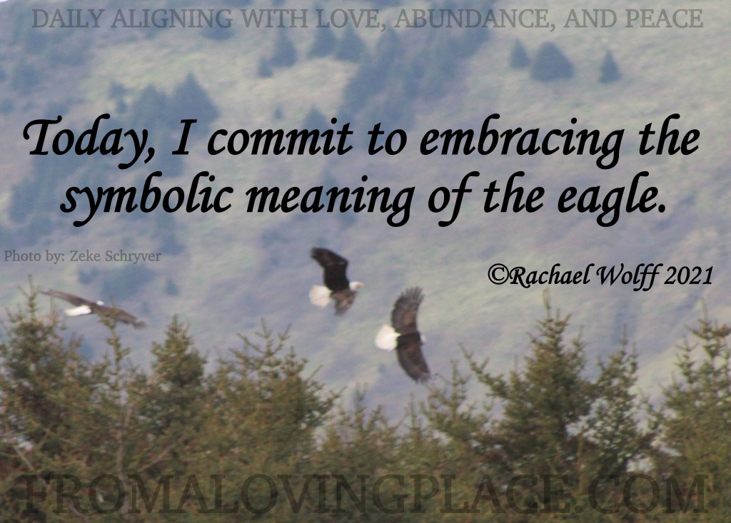 Daily Aligning with Love, Abundance, and Peace&nbsp;#292