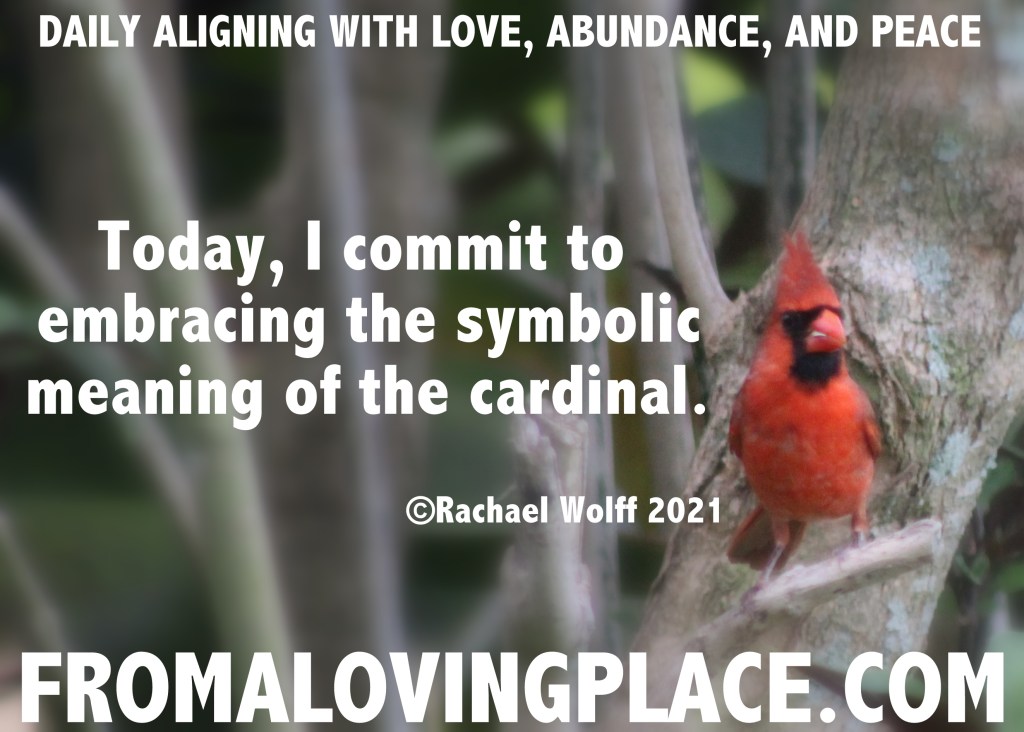 Daily Aligning with Love, Abundance, and Peace&nbsp;#293