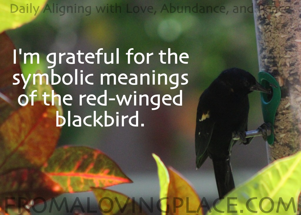 Daily Aligning with Love, Abundance, and Peace #305