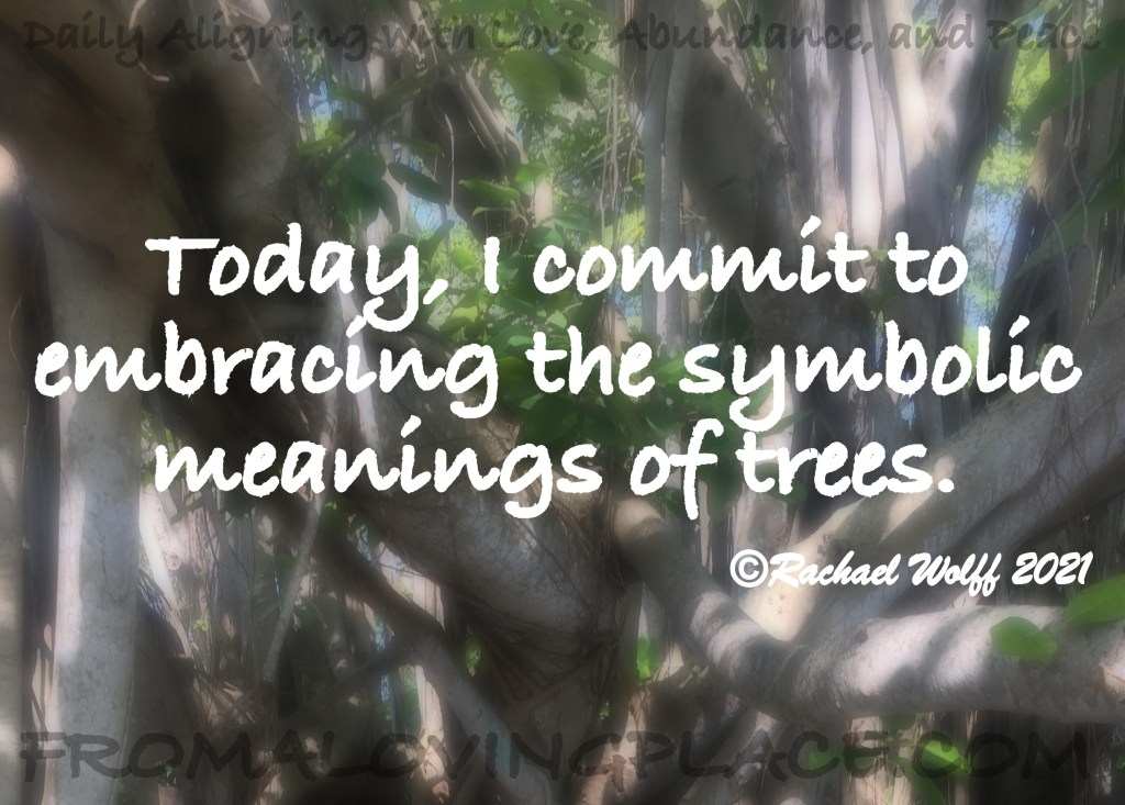 Daily Aligning with Love, Abundance, and Peace&nbsp;#301