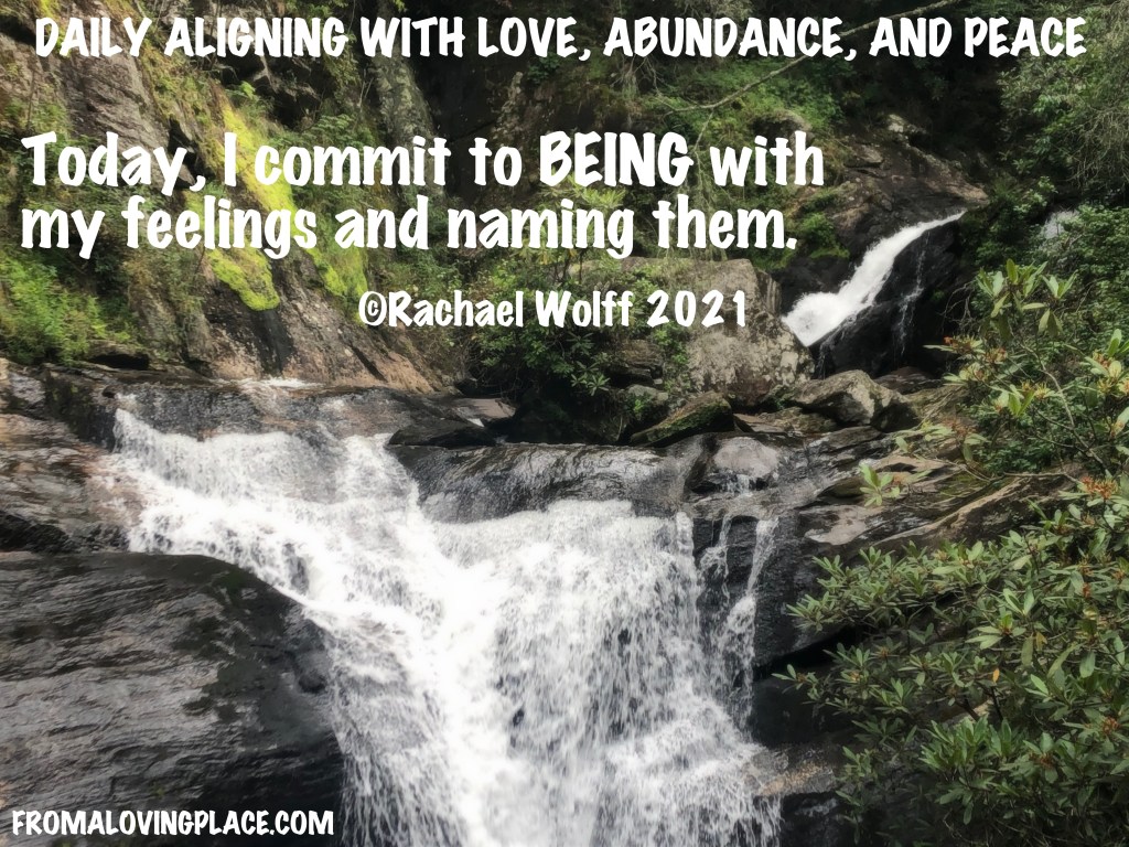 Daily Aligning with Love, Abundance, and Peace #333