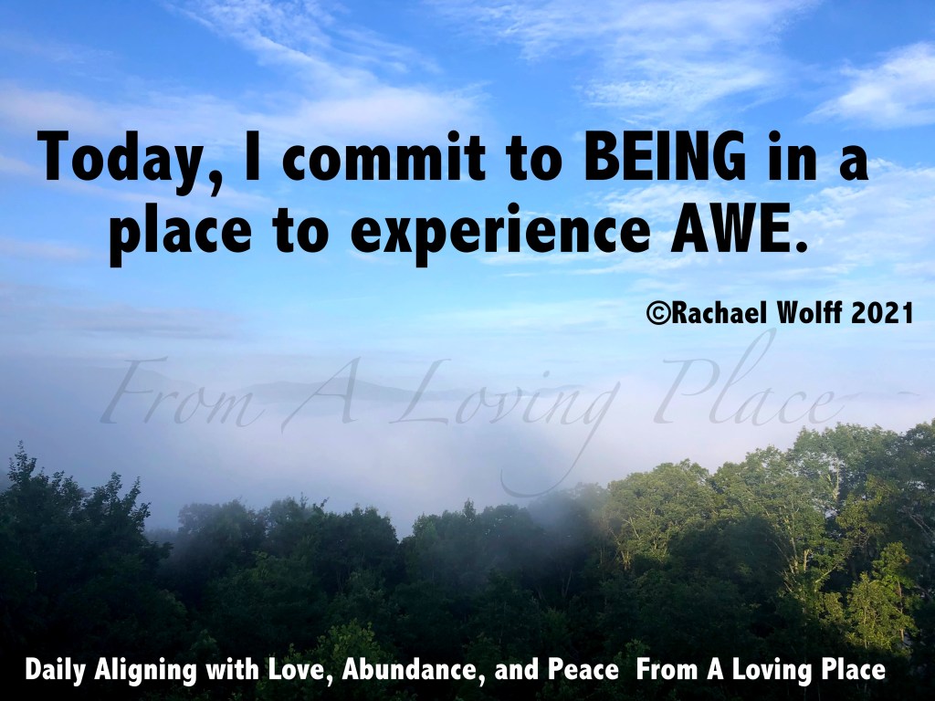 Daily Aligning with Love, Abundance, and Peace&nbsp;#335