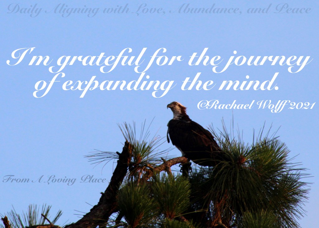 Daily Aligning with Love, Abundance, and Peace&nbsp;#314