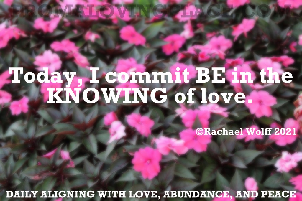 Daily Aligning with Love, Abundance, and Peace&nbsp;#323
