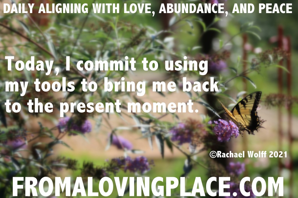 Daily Aligning with Love, Abundance, and Peace&nbsp;#318