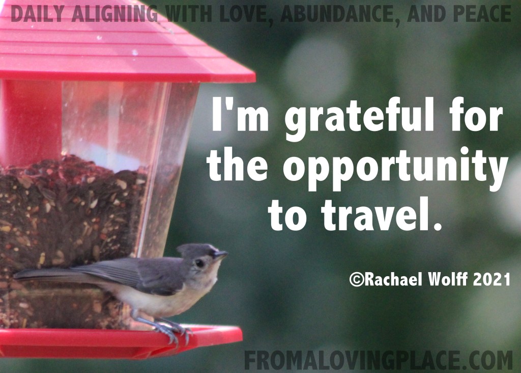 Daily Aligning with Love, Abundance, and Peace&nbsp;#352