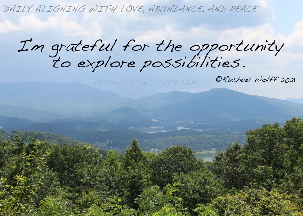 Daily Aligning with Love, Abundance, and Peace&nbsp;#351