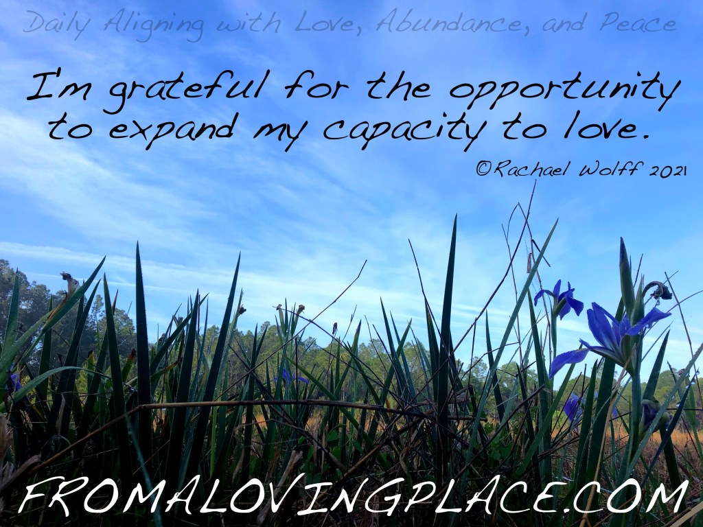 Daily Aligning with Love, Abundance, and Peace&nbsp;#355