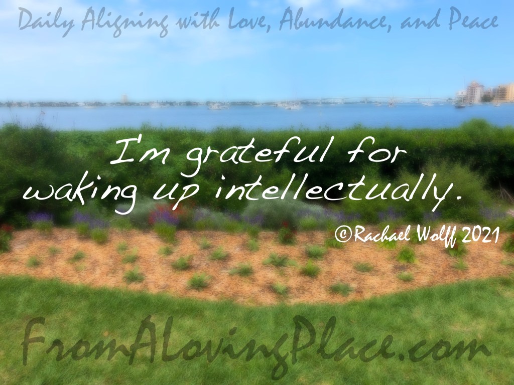 Daily Aligning with Love, Abundance, and Peace&nbsp;#345