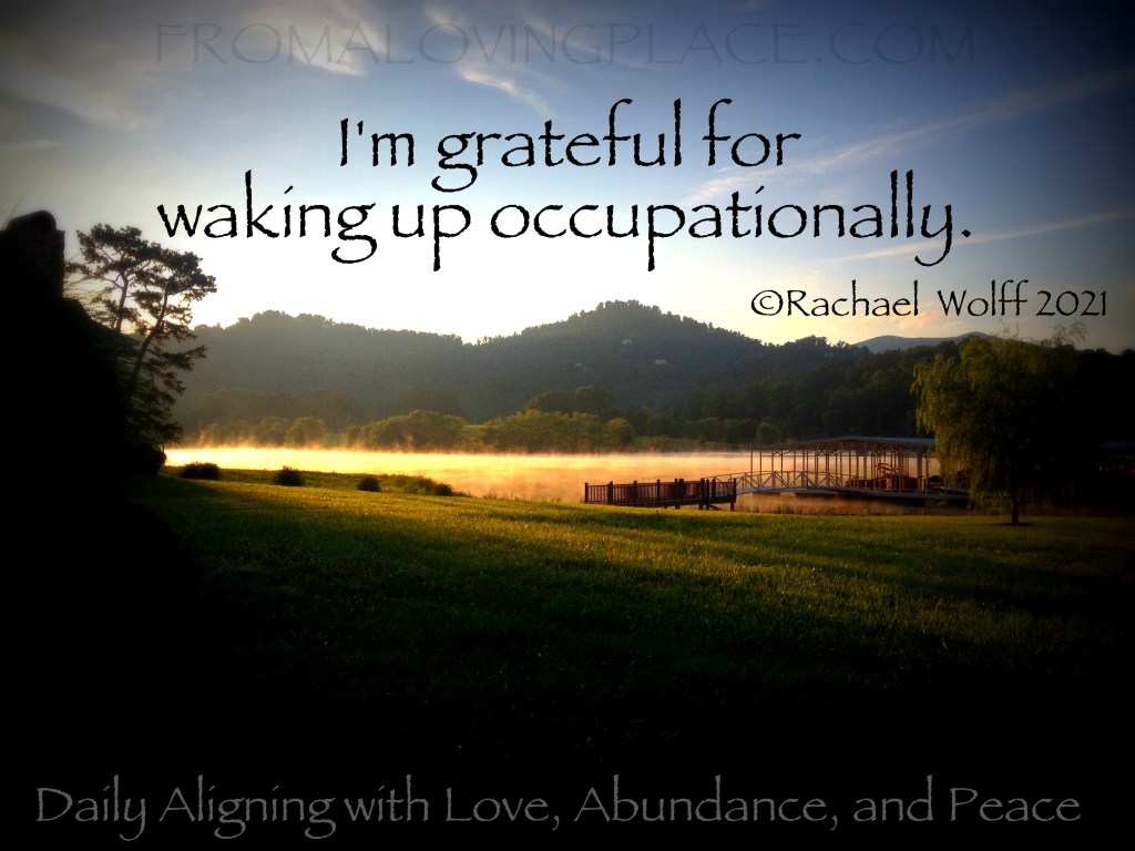 Daily Aligning with Love, Abundance, and Peace&nbsp;#347