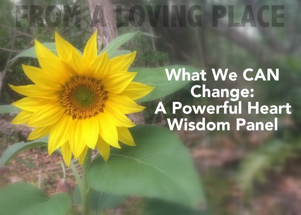 What We CAN Change: A Powerful Heart Wisdom&nbsp;Panel